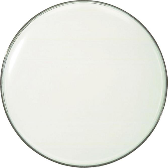 white smooth 22